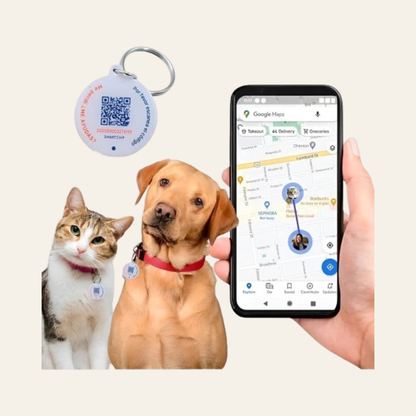 Chapa QR PawView — Identificador Inteligente para Mascotas