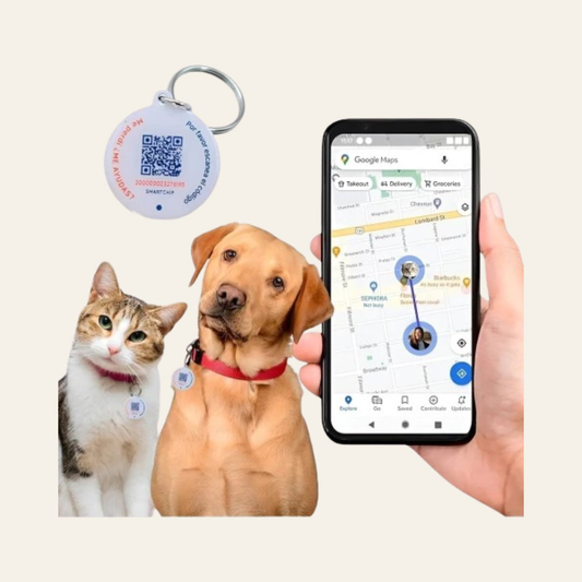 Chapa QR PawView — Identificador Inteligente para Mascotas